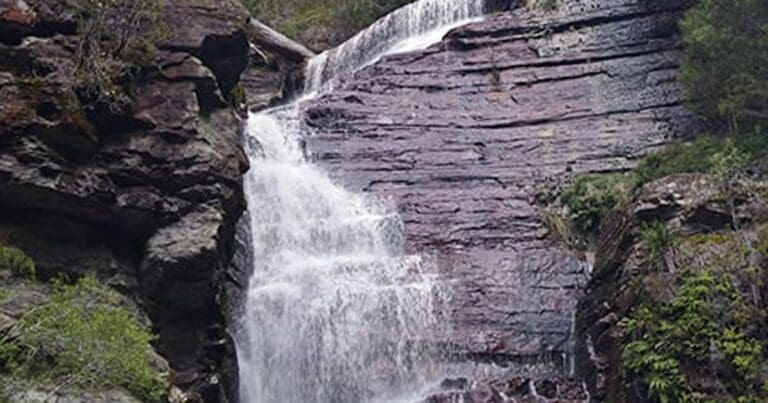 Snug Falls Track (3km) Snug falls track 768x403