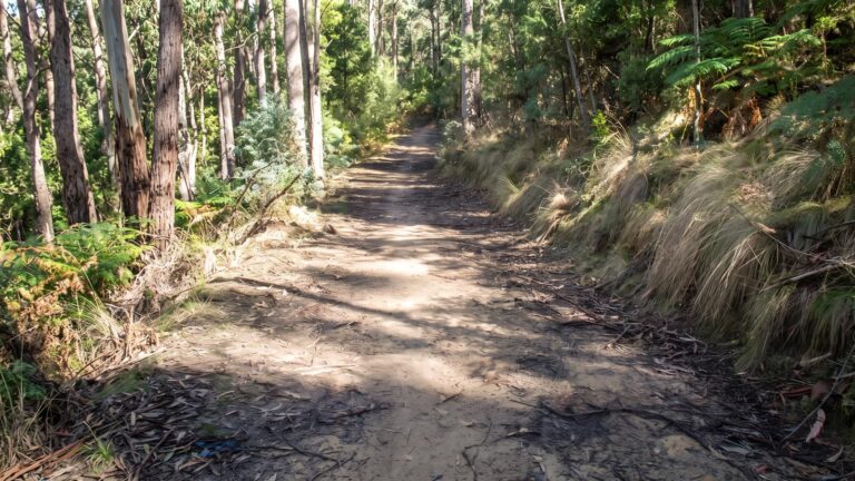 Clarence Mountain Bike Park - Fire Trail (9km) Clarence mountain bike park - fire trail (9km)