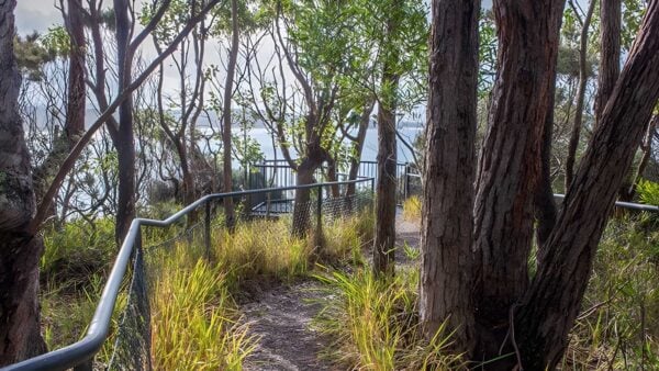 Meroo Head Lookout Walking Track (800m) Meroo head lookout walking track (800m)