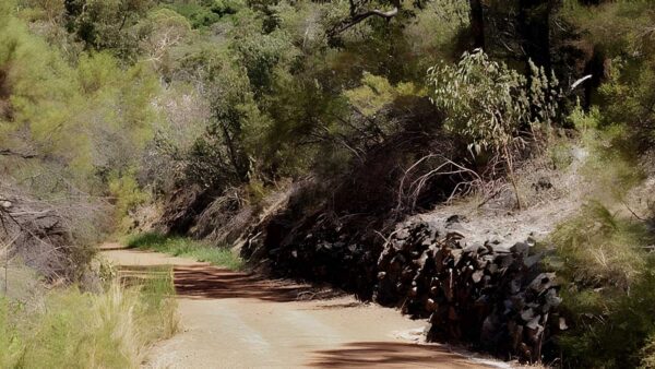 Railway reserves heritage trail loop (41km)