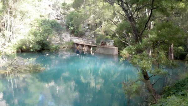 River - Blue Lake Walk (2.6km) River - blue lake walk (2. 6km)