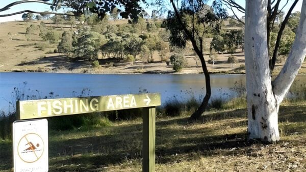 Shoreline walk (4km)