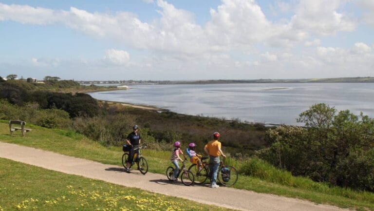 Bellarine rail trail