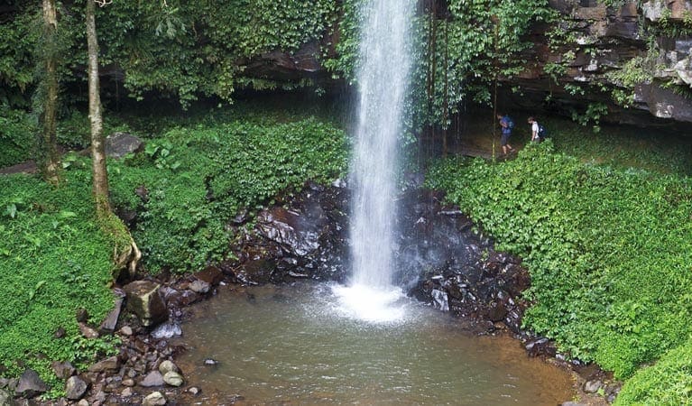 Crystal Shower Falls Walk (3.5km) Crystal shower falls walk trail hiking australia