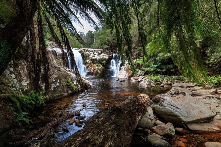 Halls falls 768x512