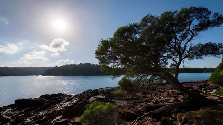Bittangabee bay to green cape walking track (7km)