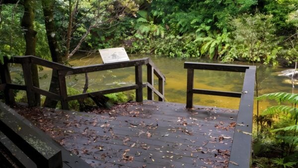 Coombadjha nature stroll walk (1. 4km)