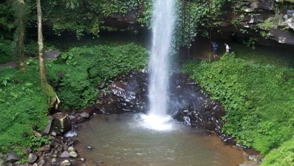 Crystal Shower Falls Walk (3.5km) Crystal shower falls walk (3. 5km)