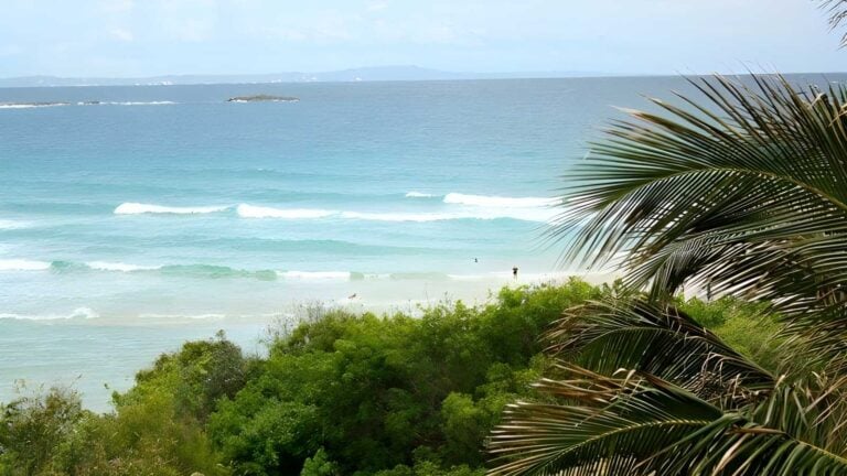 Cylinder headland - point lookout walk (2km)