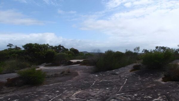 Elvina Bay Aboriginal Engraving Walk (500m) Elvina bay aboriginal engraving walk (500m)