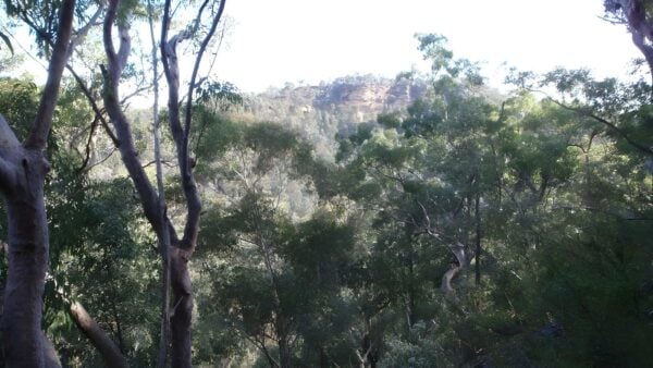 Martin's Lookout to Bunyan Lookout Walk (3.1km) Martin's lookout to bunyan lookout walk (3. 1km)