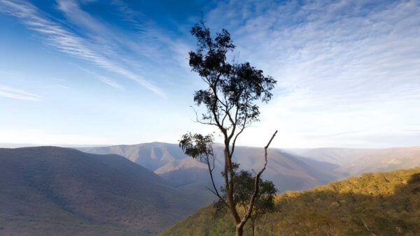 Salisbury Waters Walking Track (17km) Salisbury waters walking track (17km)
