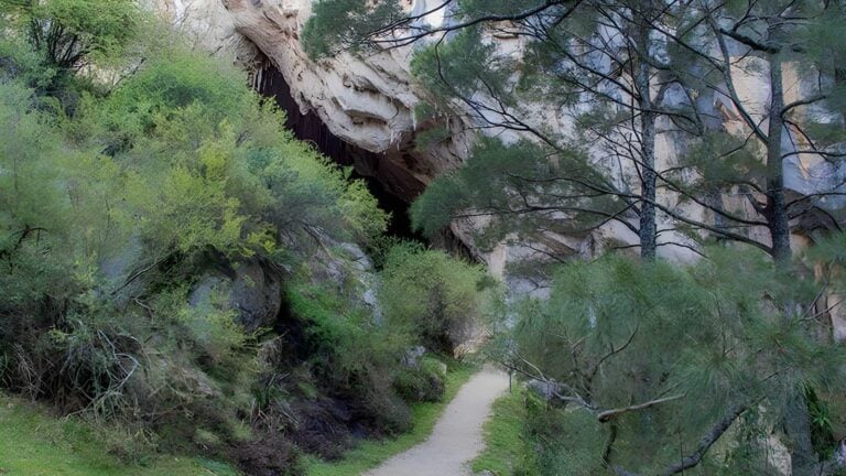 Victoria arch walking track (600m)