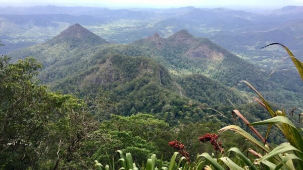 Wollumbin Hike (Mount Warning) Summit Track (8.8km) Wollumbin hike (mount warning) summit track (8. 8km)