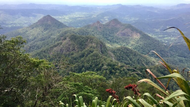 Wollumbin hike (mount warning) summit track (8. 8km)