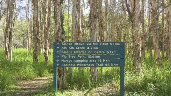 Hikes Kinaba track 600x337