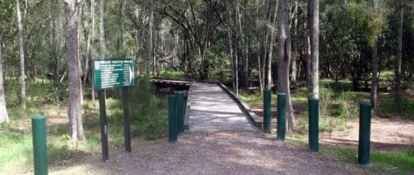 Hikes Mt kuring gai to berowra via crosslands 600x254
