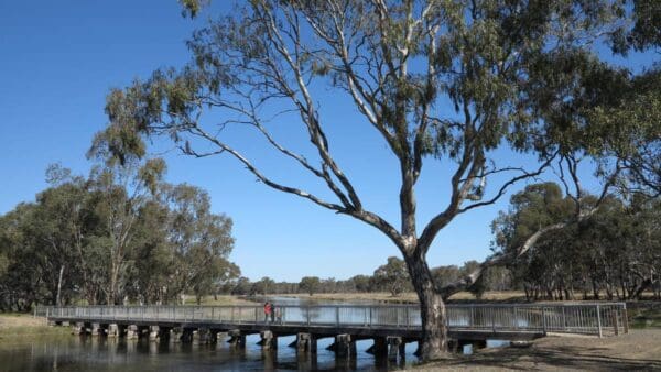 Melville's Lookout Track (10.5km) Murchison to rushworth rail trail 600x338