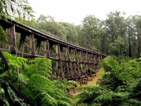 Rokeby to Crossover Rail Trail (5km) Noojee trestle bridge rail trail 600x450