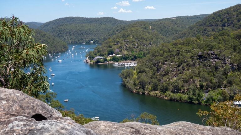 Berowra waters to cowan station hike (7. 2km)