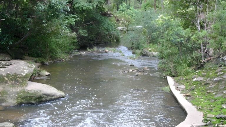 Epping to Pennant Hills Station - Lane Cove River Hike (8.4km) Epping to pennant hills station - lane cove river hike (8. 4km)