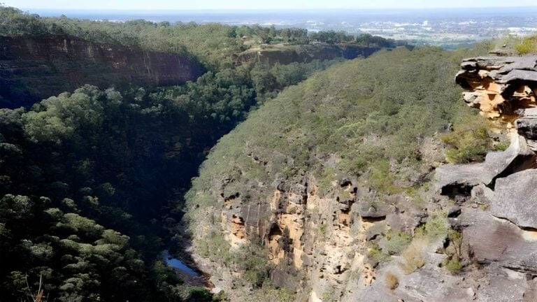 Glenbrook gorge track (3km)