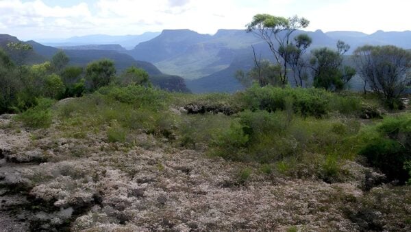 Mount Bushwalker Walking Track (7km) Mount bushwalker walking track (7km)