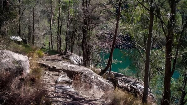 Mount Ku-Ring-Gai Track to Berowra Station Hike (10km) Mount ku-ring-gai track to berowra station hike (10km)