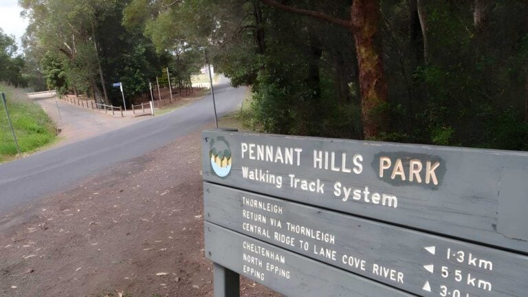 Pennant Hills Park Loop - Lane Cove River Hike (8.2km) Pennant hills park loop - lane cove river hike (8. 2km)