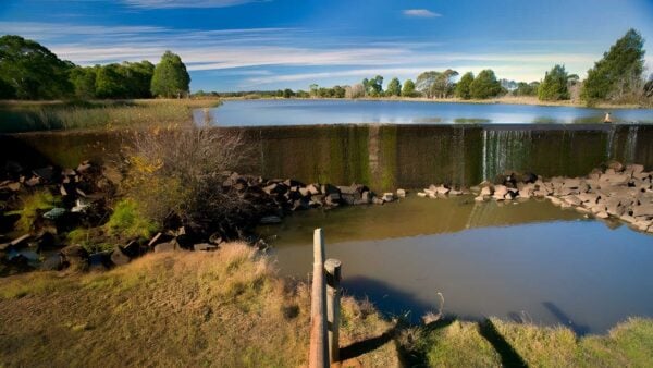 Weir View Walking Track (900m) Weir view walking track (900m)