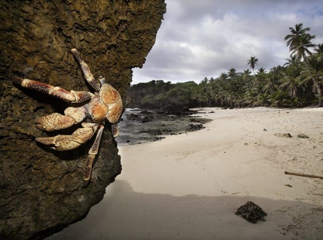 Dolly Beach Walk (2km) Dolly beach