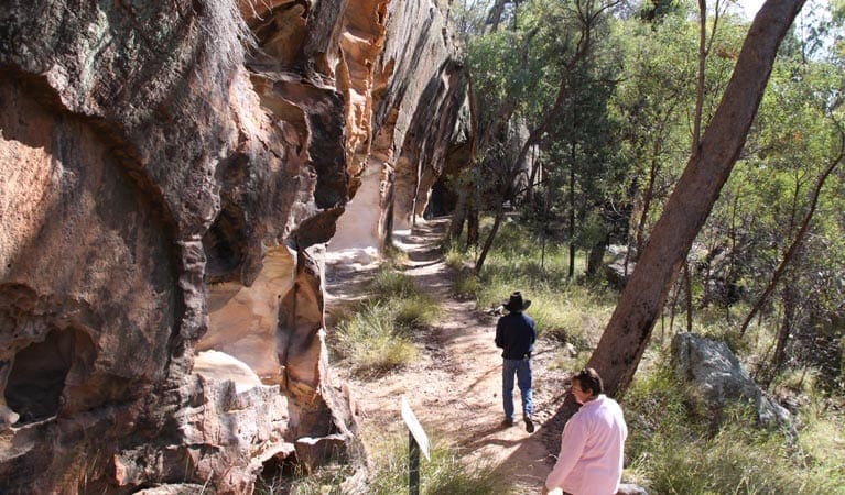 Sandstone Caves Walking Track (1.7km) Sandstone caves walking track trail hiking australia