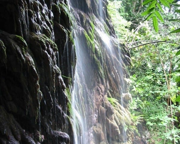The dales
