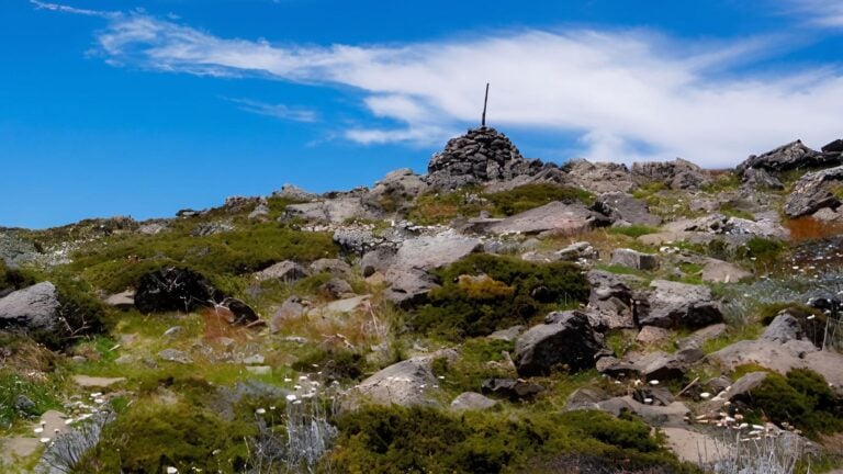 Mount loch summit hike (7km)