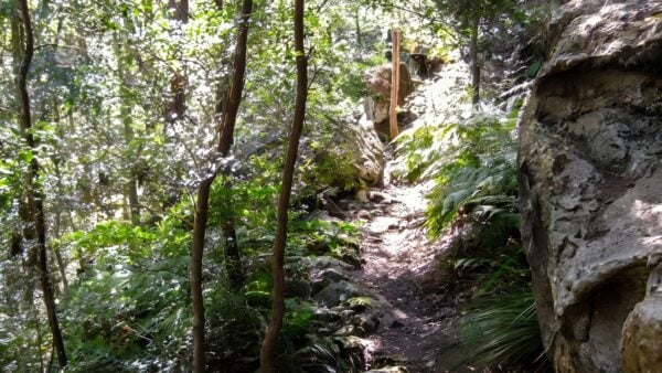 She-Oak Crossing Walk (3.9km) She-oak crossing walk (3. 9km)