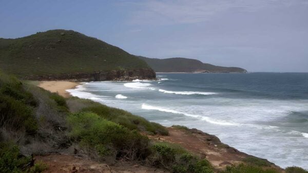 Tallow beach & box head hike (8. 5km)