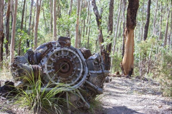 Mount Larcom Climb Hike (12km) Beautiful betsy walk 600x400