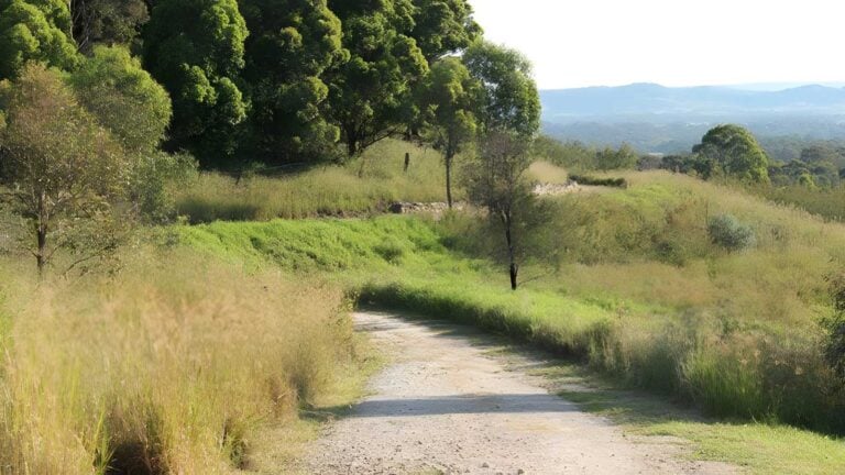 Loop trail walk (2. 5km)