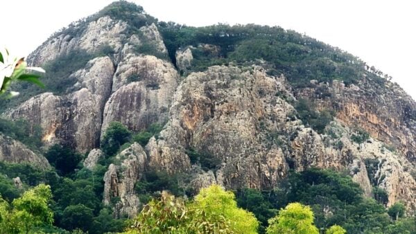 Mount Greville Track (5km) Mount greville track (5km)