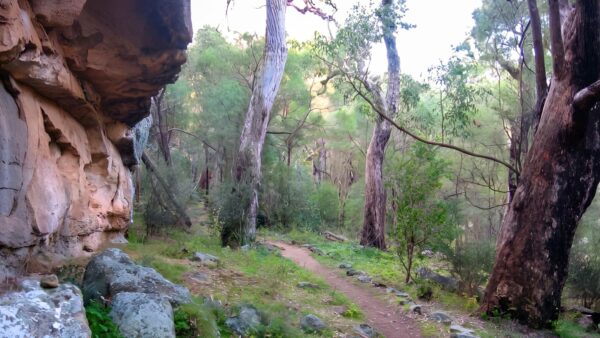 The drip walking track (2. 8km)
