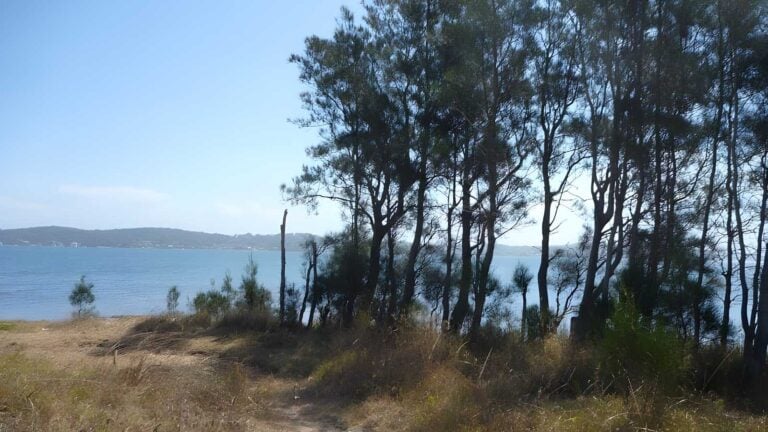 The Green Point Walk (3km) The green point walk (3km)