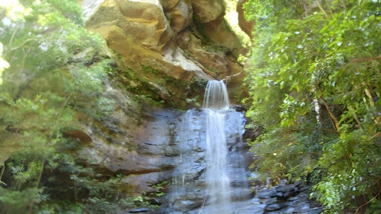 The Valley of the Waters Track (1.5km) The valley of the waters track (1. 5km)