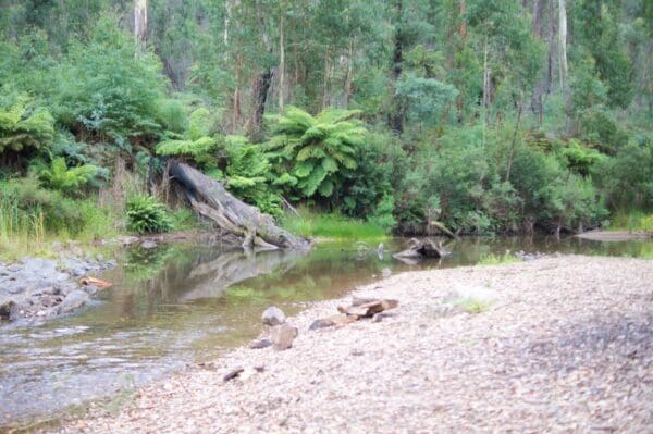 Trail hiking aberfeldy river 8km 600x399