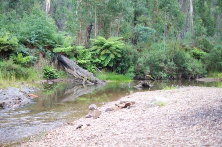 Trail hiking aberfeldy river 8km