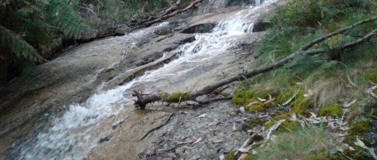 Mount Buangor Walk (10.3km) Trail hiking mount buangor walk 9 5km 768x326
