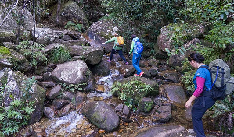 Rodriguez Pass Walking Track (12km) Rodriguez pass walking track trail hiking australia