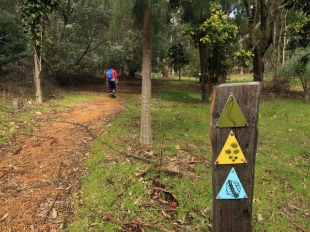 Tall Gum Short Walk (650m) Tall gum short walk