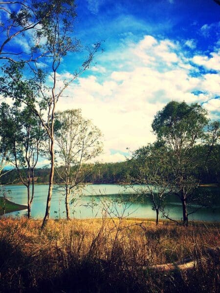 Hikes Wivenhoe hill trails 450x600