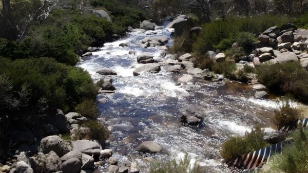 Dead horse gap to cascades lookout walk (4. 1km)