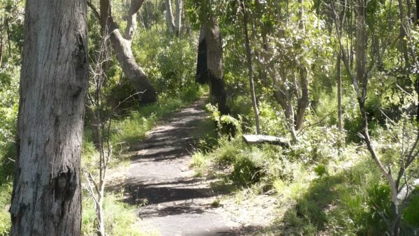 Euglah Rock Walking Track (650m) Euglah rock walking track (650m)